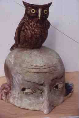Owl on Head