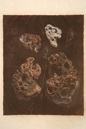 Rocks