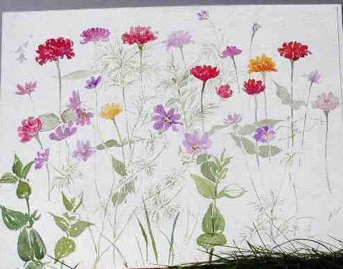 Zinnias