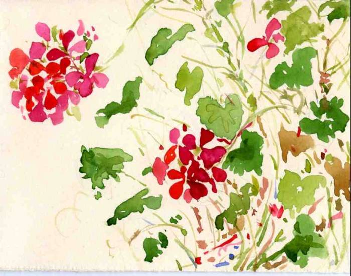 Xmas Geranium