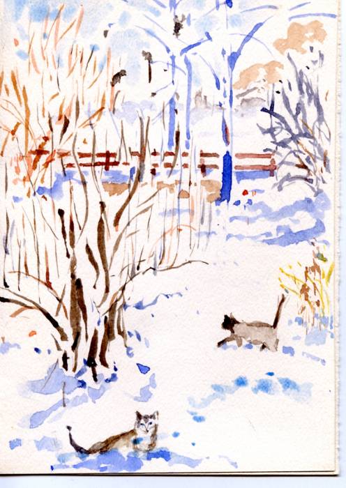Xmas Cats in the Snow
