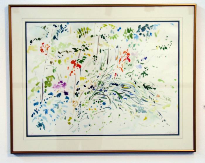 On the Edge of my Yard