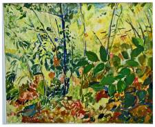 Red and Green Leaves