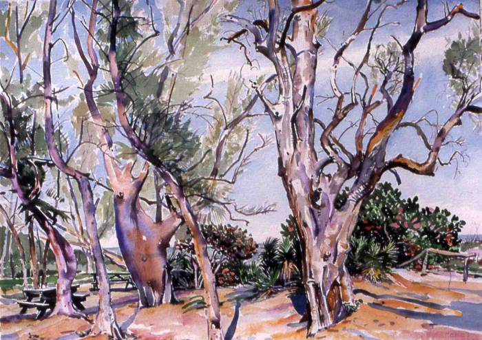Beach Trees
