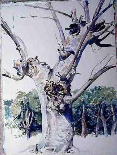 Dead Tree Study