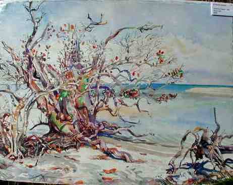 Driftwood Beach